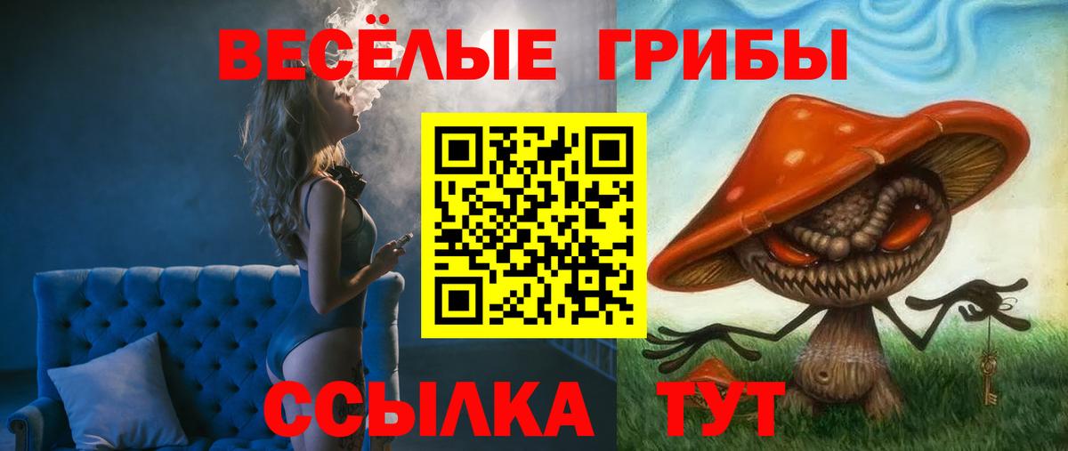 Волгоград  Псилоцибиновые грибы мицелий  Вход с VPN  Псилоцибиновые грибы мицелий 